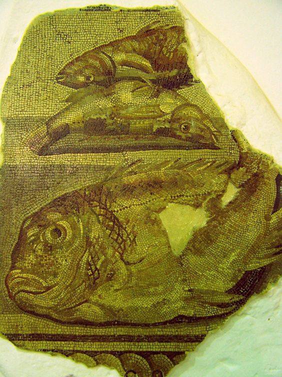 Fish mosaic, Roman?, Ptolemais, Libya, 2nd or 3rd century AD?