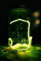 Lightning in a Bottle [OC]