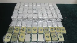 Smuggler busted with 596 Intel Xeon CPUs valued at $1.5 million — trafficker faces seven-year jailtime and over $256K fine