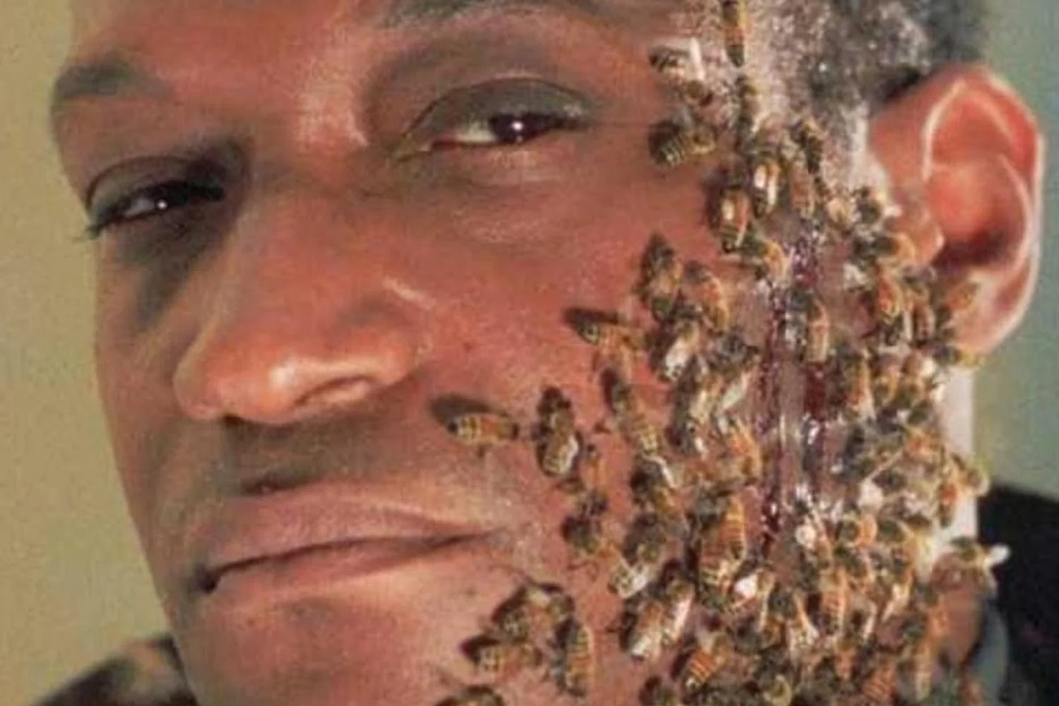 RIP Tony Todd, Horror's Candyman and All-Around Beloved Actor