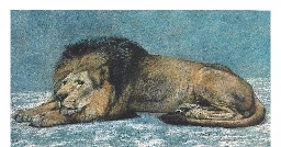 lion