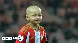 Bradley Lowery: Man pleads guilty to taunting fans