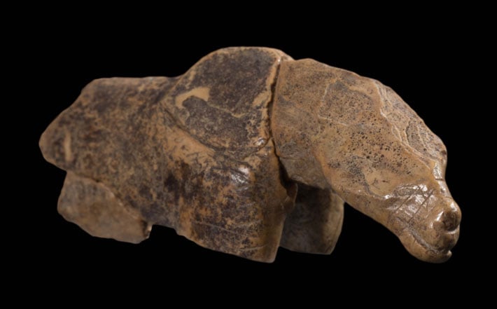 A 35,000-year-old ivory figurine, uncovered in 1999,  originally thought to represent a horse, has newly discovered body which more closely resembles a cave lion or a cave bear