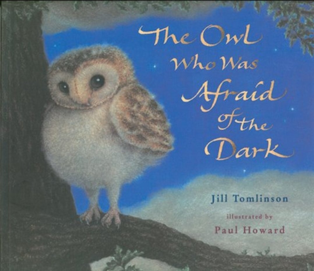 Cover of the book entitled 'The Owl Who Was Afraid of the Dark featuring a baby owl in a tree. 
