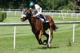 Little Gambler, Big Win: Six-Year-Old’s Horse Racing Birthday Party Takes an Unexpected Turn!