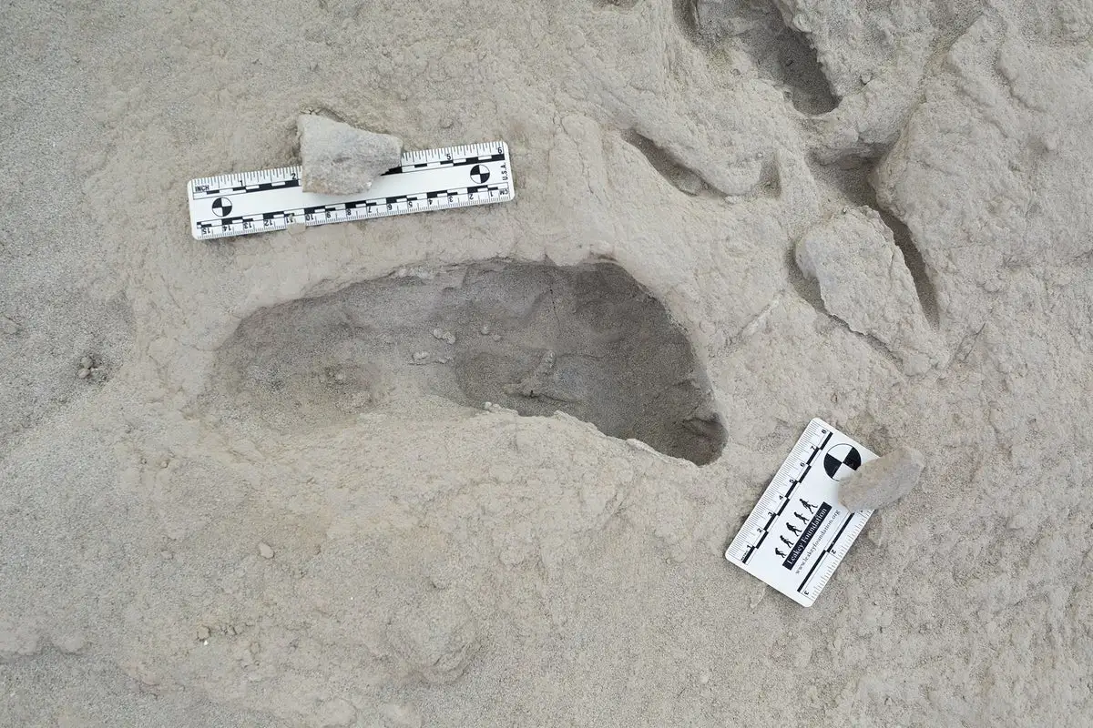 Fossil Footprints Suggest Two Early Human Species Crossed Paths within Hours