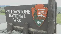 Bison gored an Arizona woman in Yellowstone, the park's first such attack in 2023