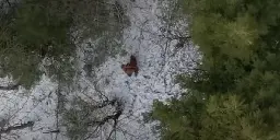 New drone footage of Bigfoot hailed as ‘the best’ yet