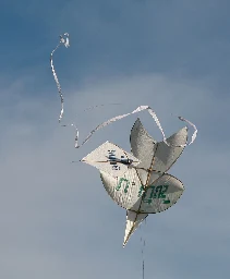 Fighter kite - Wikipedia