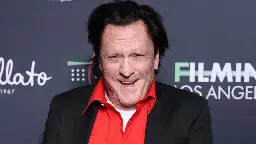 ‘Reservoir Dogs’ Actor Michael Madsen Arrested For Domestic Violence