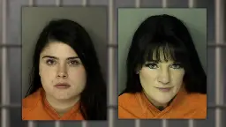 SC Republican Party's political director, mother charged in assault case at bar | WTGS