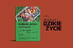 Miesięcznik Dzikie Życie poleca książkę Mo Wilde „Dzikość, która uzdrawia”