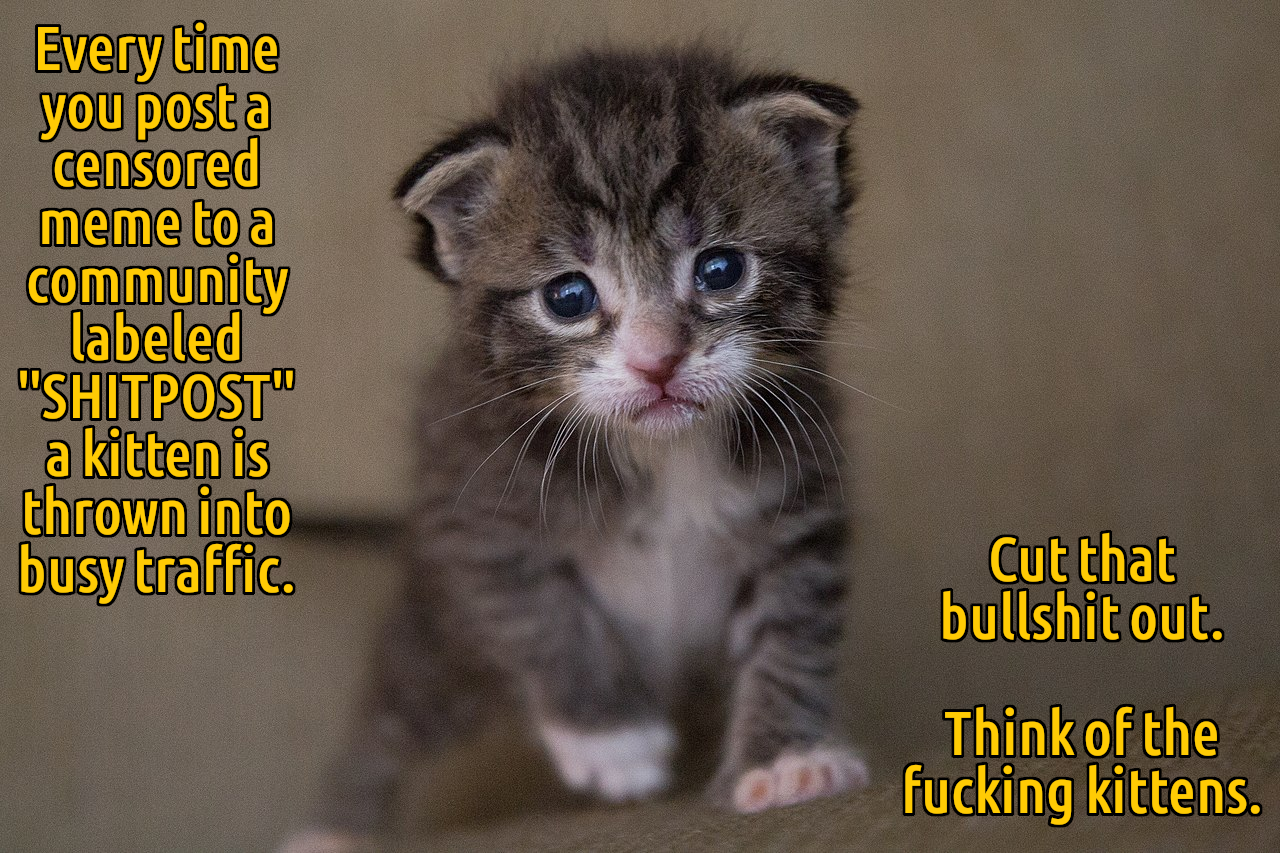 Meme of an adorable kitten looking sad, captioned with the text "Every time you post a censored meme to a community labeled 'SHIT POST' a kitten is thrown into busy traffic. Cut that bullshit out. Think of the fucking kittens."