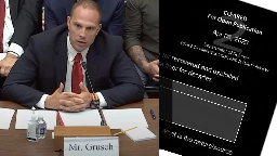 Newly Released Documents Shed Light on "UFO Whistleblower" David Grusch's DOPSR Review - The Black Vault
