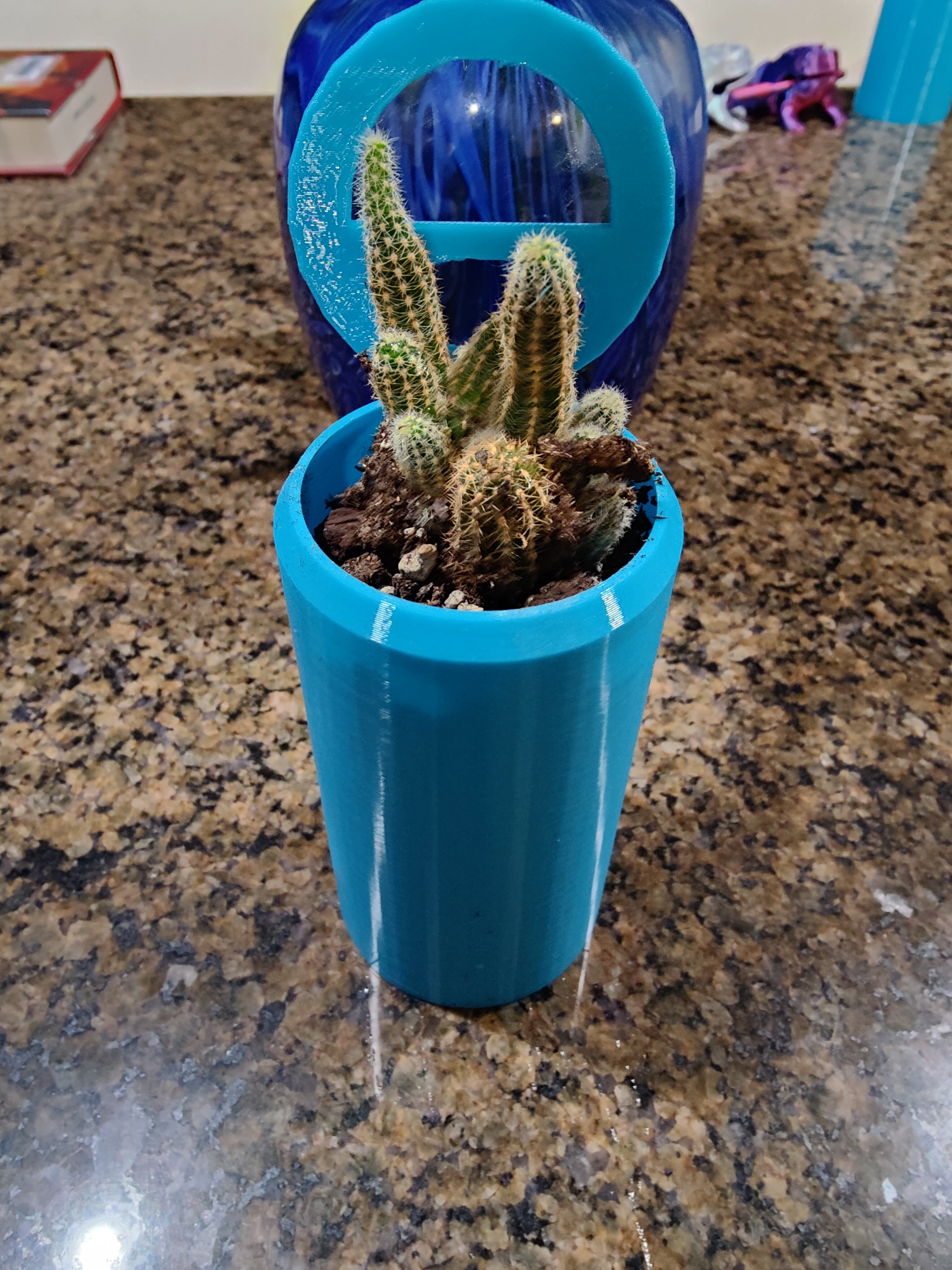 My daughter made a planter for her cactus