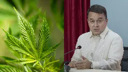 House Approves Bill Legalizing Medical Cannabis in the PH - When In Manila