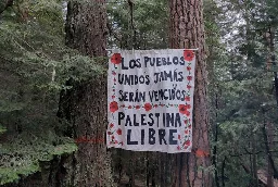 BLM Responds to Heightened Pressure as Tree Sitters Celebrate Two Weeks of Continued Occupation