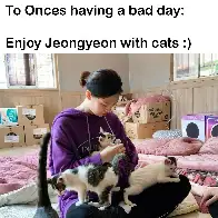 Wholesome moment with cats