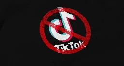 Some IRS employees still access TikTok despite ban on government devices | TechCrunch
