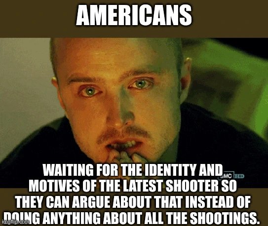 Why is the motive for a mass shooting so importiant? Is there a good reason? 