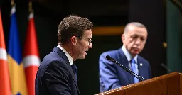 Turkiets utrikesutskott godkänner Sveriges Natoansökan