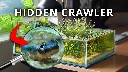 The Shallow Ecosystem on My Desk (150 Day Evolution) [14:11]