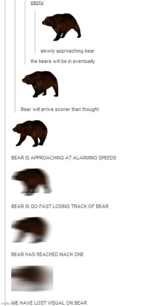 Probably a bear 