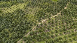 A study finds Indonesia's deforested land is often left idle. But some see potential in that