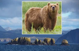 Mystery Of The Ancient Bear Bones In The Aleutian Islands, Alaska - Ancient Pages