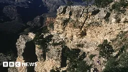 Boy survives 100ft Grand Canyon fall after dodging tourist photo