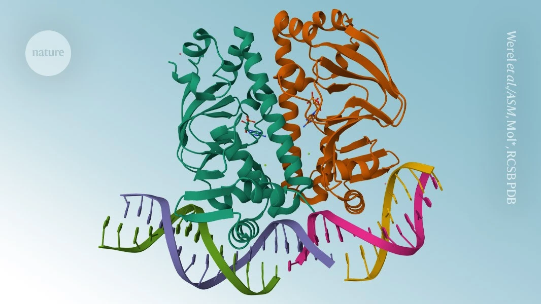 AI protein-prediction tool AlphaFold3 is now open source