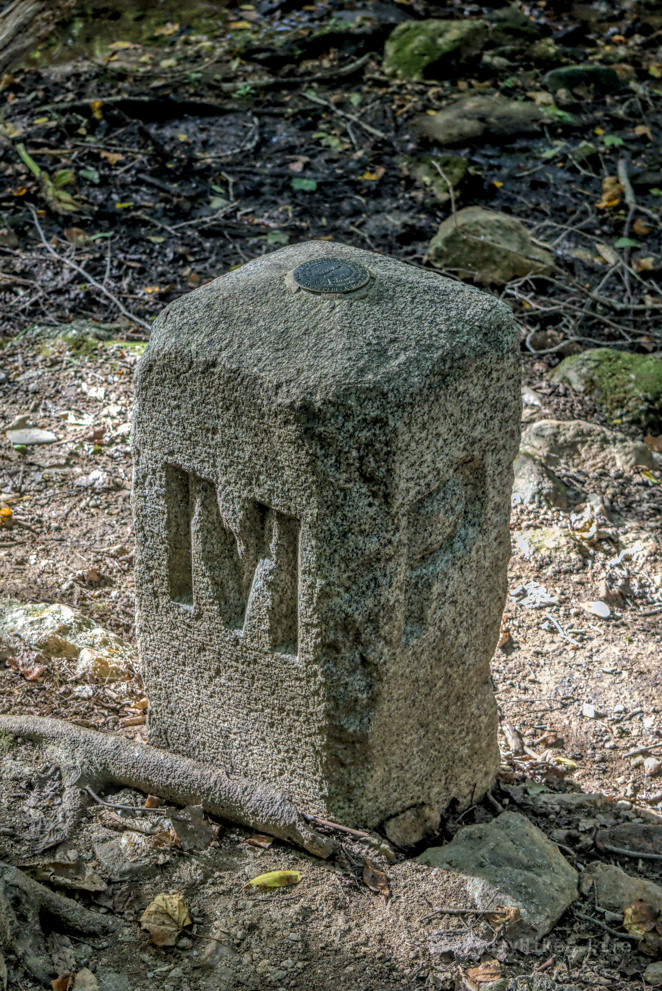 A small stone marker at the tri- state boundary between Pennsylvania, Delaware, and Maryland.  I believe I saw that this marker is actually a few feet off from the true boundary as it was surveyed wrong at the time.  It is also the jankiest border stone I've ever seen, with nothing more than an M or a P on each side.