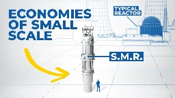 The Uncertain Future of Nuclear Power