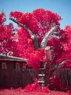 False color infrared