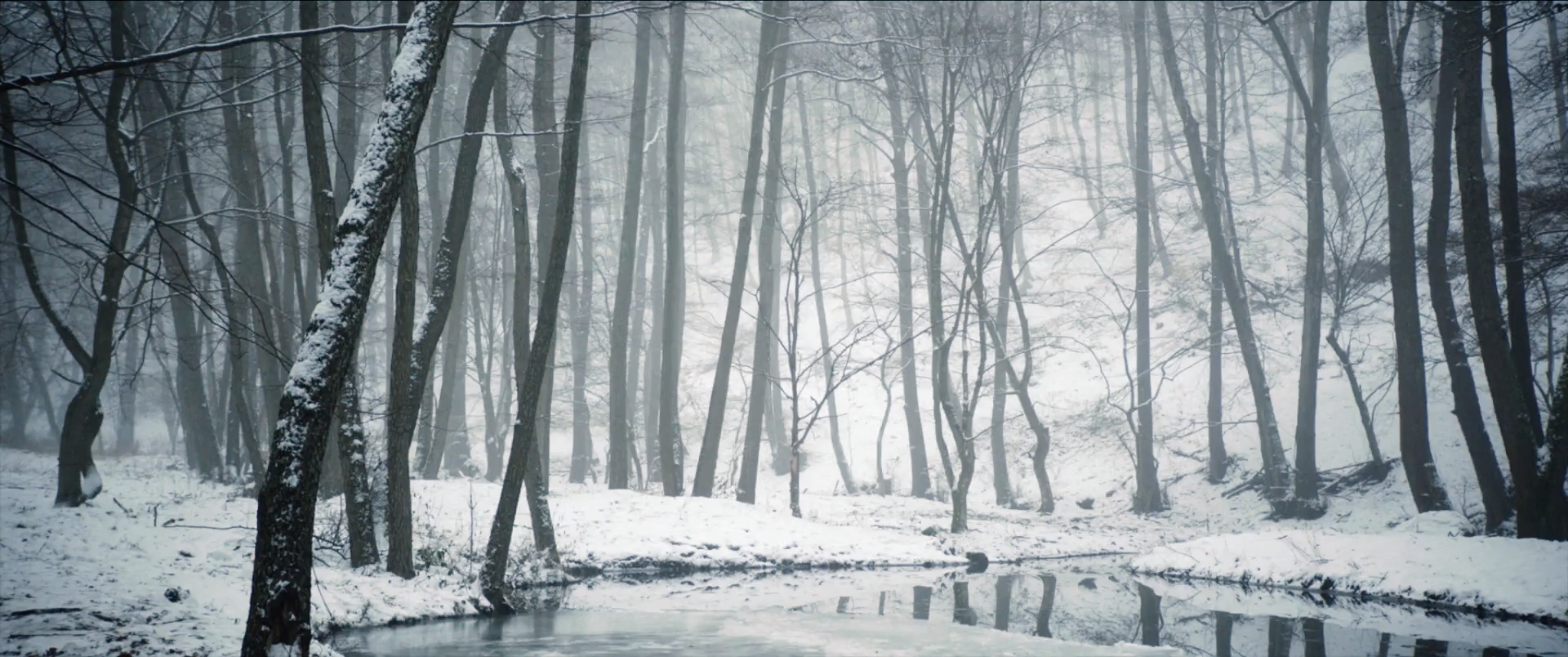 On Body and Soul [2017] Director: Ildikó Enyedi