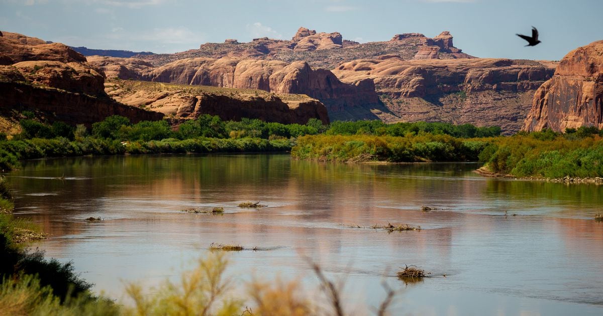 Lithium mining is about to go big on the Colorado River. Here’s what to know.