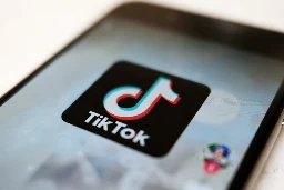 TikTok ‘aggressively’ removing content praising Osama bin Laden after letter goes viral