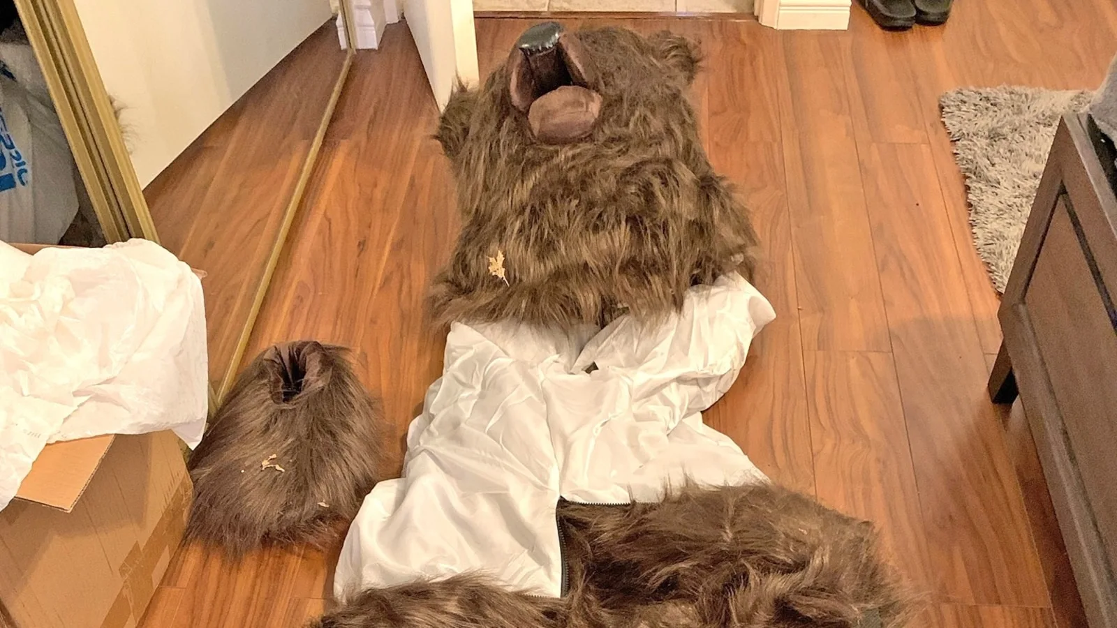 Bear costume used in elaborate car insurance fraud scheme