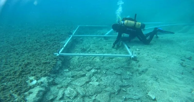 Scientists amazed at the discovery of an underwater road that points to a 7000-year-old city