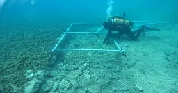 Scientists amazed at the discovery of an underwater road that points to a 7000-year-old city