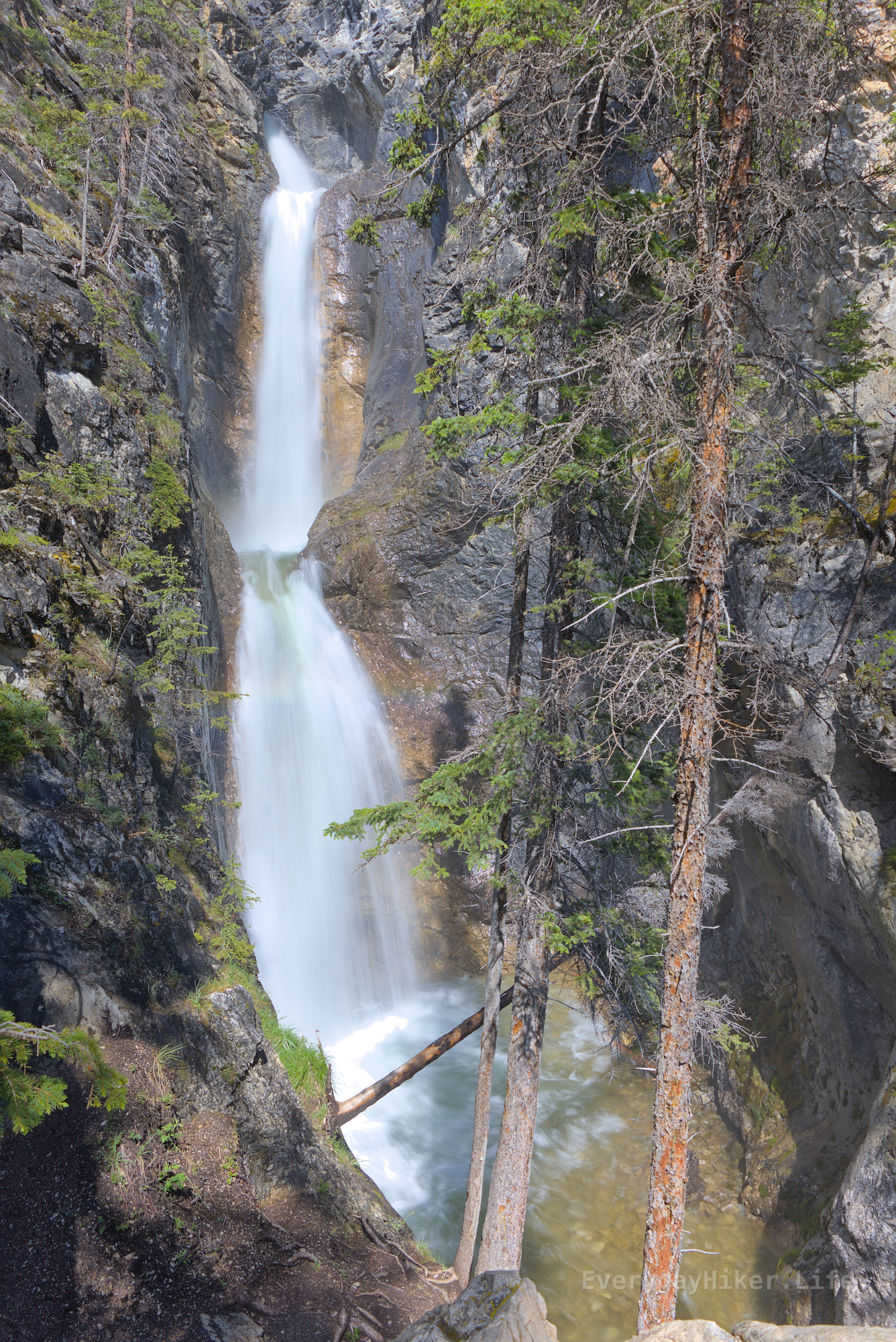 The double falls of Silverton falls as seen from the viewing area, minor rainbow action just below the split.