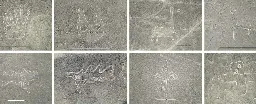 Hundreds of Mysterious Nazca Glyphs Have Just Been Revealed