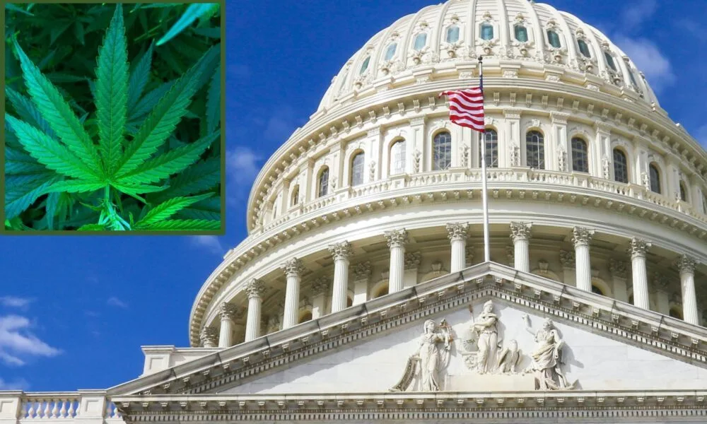 Democratic Congressional Lawmakers Push Biden To Issue Marijuana Executive Order Before Trump Takes Office - Marijuana Moment