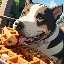 WaffleHound