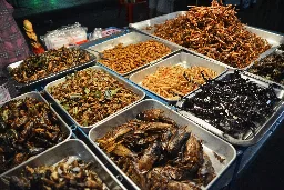 Edible Insects: Why Aren’t We Eating More Bugs?