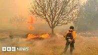 Texas battles second-biggest wildfire in US history - BBC