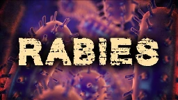 Rabid Raccoons Confirmed in Two South Carolina Counties; Pet Exposure Reported | WACH