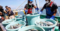 U.S. military bulk buys Japanese seafood to counter China ban