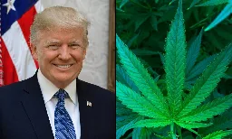 GOP Lawmakers Discuss Marijuana Rescheduling Impact Of Another Trump Presidency In Interviews At RNC - Marijuana Moment