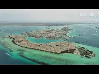 Progress on Shura Island | تطورات جزيرة شورى